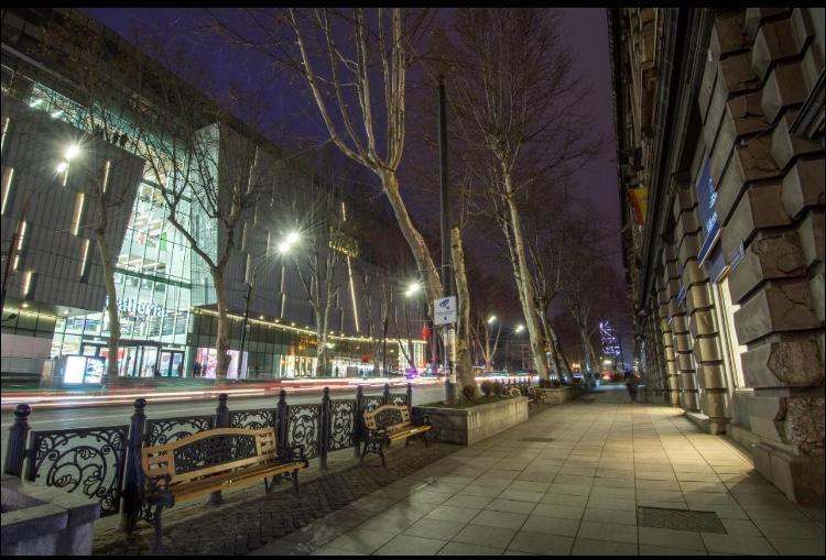 Rustaveli Apartment City Centre Тбілісі Екстер'єр фото